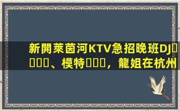 新開萊茵河KTV急招晚班DJ、模特，龍姐在杭州帶你上班